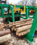 Double-sided sorting of logs