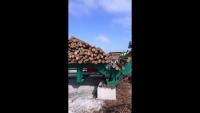 Small log sorting line